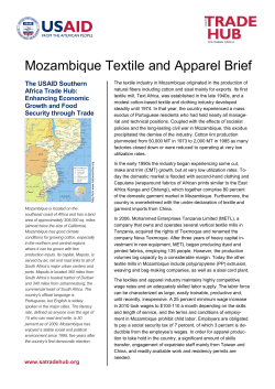 Mozambique Textile and Apparel Brief
