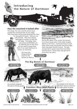Introducing - the Dartmoor National Park Authority