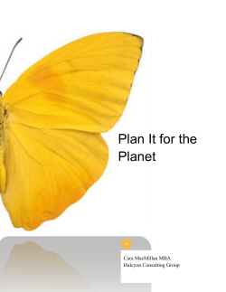 Financial Improvement Plan.