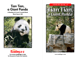 a Giant Panda