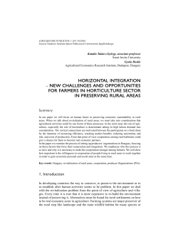HORIZONTAL INTEGRATION &ndash; NEW CHALLENGES AND