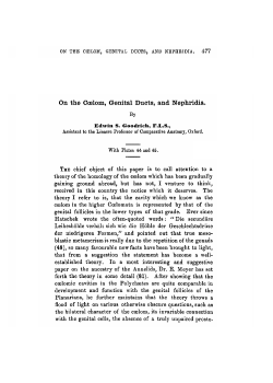 On the Coelom, Genital Ducts, and Nephridia.