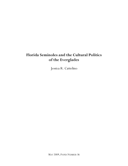 Florida Seminoles and the Cultural Politics of the Everglades