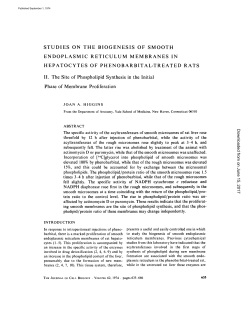 STUDIES ON THE BIOGENESIS OF SMOOTH ENDOPLASMIC