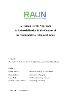A Human Rights Approach to Industrialization in the Context