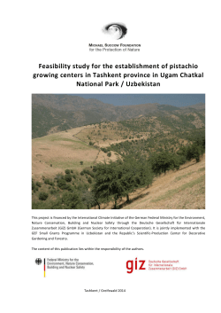 Feasibility study for the establishment of pistachio growing centers in