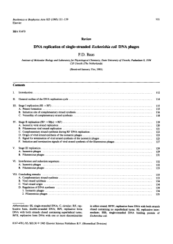 Review DNA replication of single-stranded EseheNchia coil DNA
