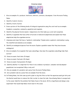 FINDING NEMO 1. Give an example of a: producer