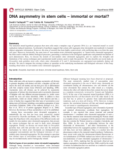 DNA asymmetry in stem cells &ndash; immortal or