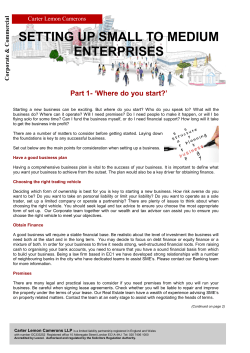 setting up small to medium enterprises
