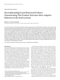 PDF - Journal of Neuroscience