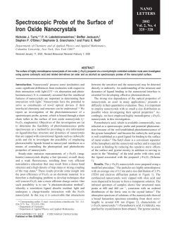 Spectroscopic Probe of the Surface of Iron Oxide Nanocrystals