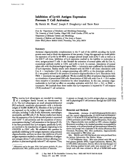 Inhibition of Ly-6A Antigen Expression Prevents T Cell Activation