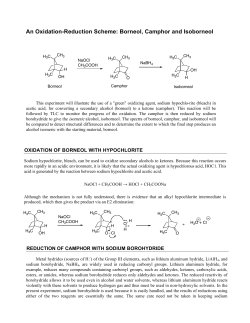 Oxidation-Reduction of Borneol