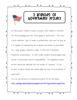 3 Branches of Government Project