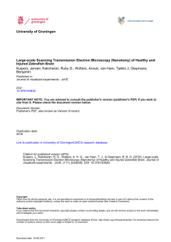 Large-scale Scanning Transmission Electron Microscopy