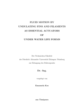 phd_thesis_emanuela.