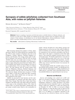 Synopsis of edible jellyfishes collected from Southeast Asia, with
