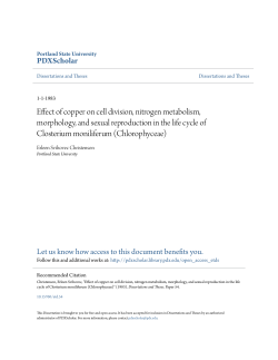 Effect of copper on cell division, nitrogen metabolism