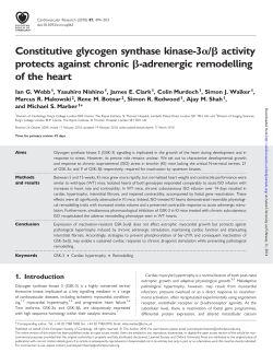 Constitutive glycogen synthase kinase