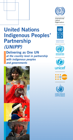 United Nations Indigenous Peoples` Partnership