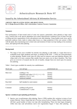 Amenity Tree Planting with Care