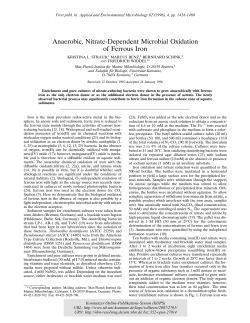 Anaerobic, Nitrate-Dependent Microbial Oxidation