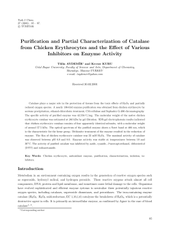 Purification and Partial Characterization of Catalase from Chicken