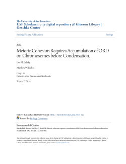 Meiotic Cohesion Requires Accumulation of ORD on Chromosomes