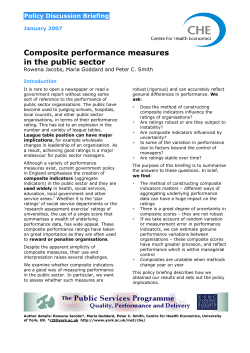 Composite performance measures in the public