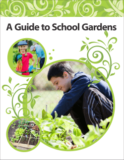 A Guide to School Gardens
