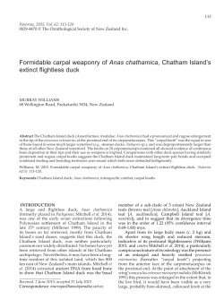 Full Article - Notornis - Ornithological Society of New Zealand