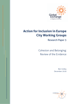 Action for Inclusion in Europe City Working Groups