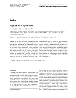 Review Regulation of cytokinesis