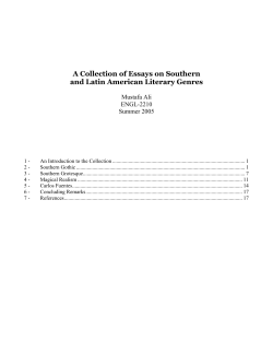 A Series of Essays on Southern and Latin American