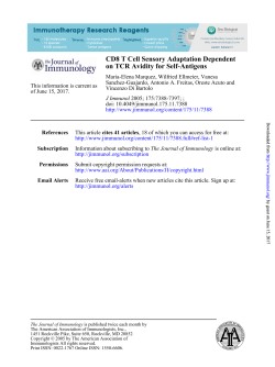 on TCR Avidity for Self-Antigens CD8 T Cell Sensory Adaptation