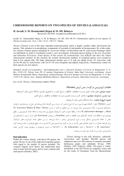 chromosome reports on two species of thymus