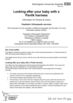 Looking after your baby with a Pavlik harness