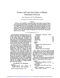 Isolation and Long-Term Culture of Diploid