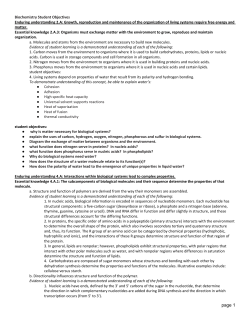 Giant Review Sheet