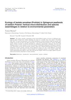 Ecology of testate amoebae (Protists) in Sphagnum peatlands of
