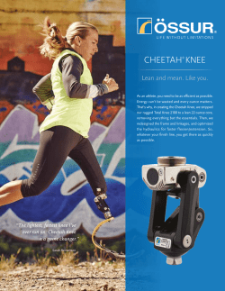 cheetah&reg; knee