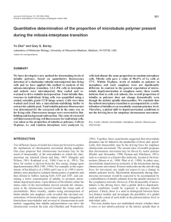 Quantitative determination of the proportion of microtubule polymer