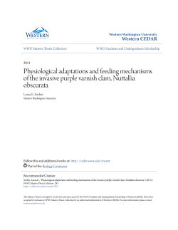 Physiological adaptations and feeding