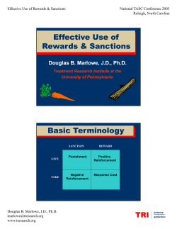 Effective Use of Rewards and Sanctions