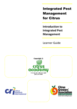 Integrated Pest Management for Citrus