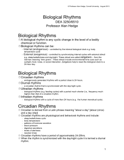 Biological Rhythms - Cornell University Ergonomics Web