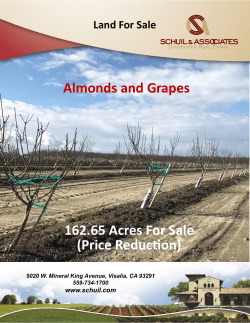 162.65 Acres For Sale (Price Reduction) Almonds and Grapes