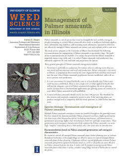 Management of Palmer amaranth in Illinois