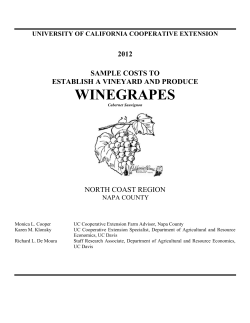 Establish a Vineyard and Produce Winegrapes